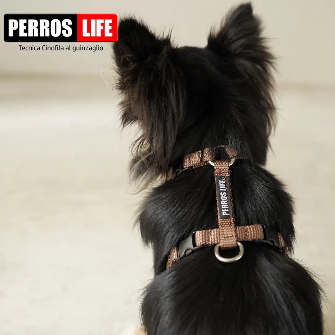 犬用ハーネス PERROS - 獣医師推奨ハーネス 犬の体に負担が少ない|ペット用首輪・ハーネス ロングチワワ