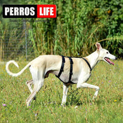 犬用ハーネス PERROS - 胸深く腹部細い犬用ドピアッカハーネス|ペット用首輪・ハーネス|犬用ハーネス PERROS - ドピアッカハーネス 胸深く腹部細い犬/グレーハウンド用 脱走防止|ペット用ハーネス