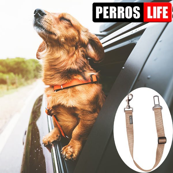 犬用 PERROS - 車用シートベルトリーシュ|ペット用リード|犬用 PERROS - 車用シートベルトリーシュ | 安全なドライブ用リード|ペット用リード