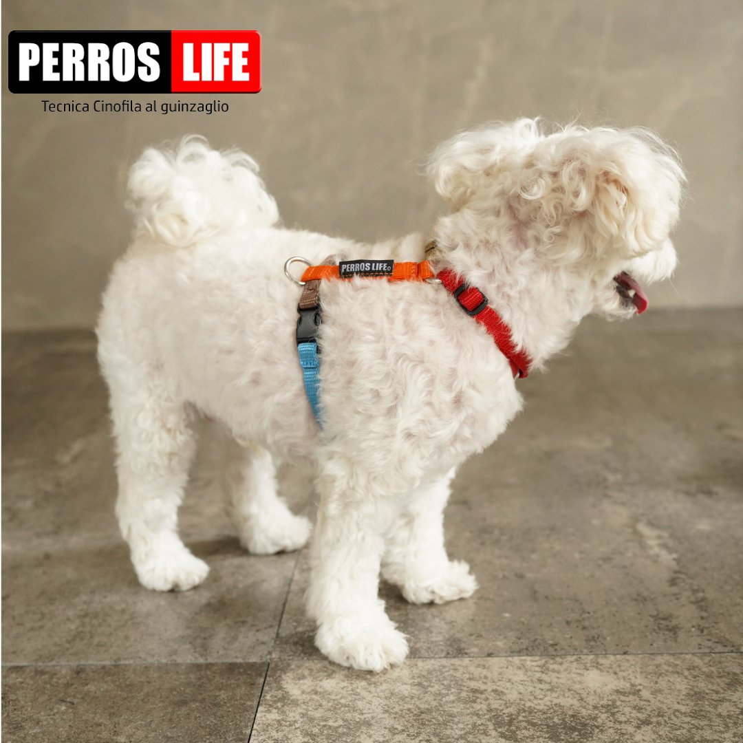 犬用ハーネス PERROS - 獣医師推奨ハーネス 犬の体に負担が少ない|ペット用首輪・ハーネス おしゃれカラー