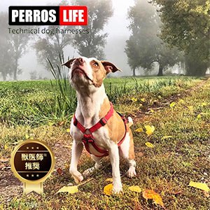 犬用ハーネス PERROS - 胸が厚く丸い犬用のXハーネス|ペット用首輪・ハーネス|犬用ハーネス PERROS Xイクスハーネス 引っ張り防止 抜けにくい