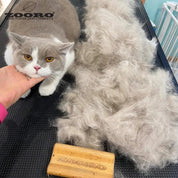 犬猫うさぎの抜け毛取り - ZOORO 短毛用 グルーミングコーム|ペット用グルーミング用品|猫抜け毛ケア 換毛期 猫にも使用できるゾログルーミングコーム、抜け毛対策に最適 ゾロ公式