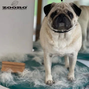 犬猫うさぎの抜け毛取り - ZOORO 短毛用 グルーミングコーム|ペット用グルーミング用品|短毛犬 パグ 抜け毛ケア 換毛期 抜け毛を効果的に除去 ゾロ公式