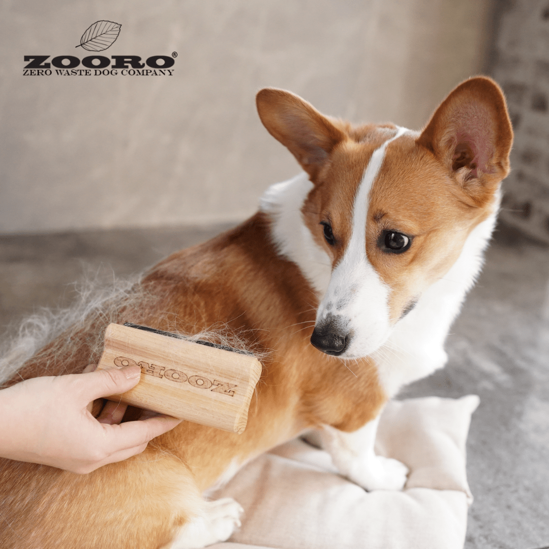 犬猫うさぎの抜け毛取り - ZOORO 短毛用 グルーミングコーム | プロ仕様ペット用ブラシ|ペット用グルーミング用品