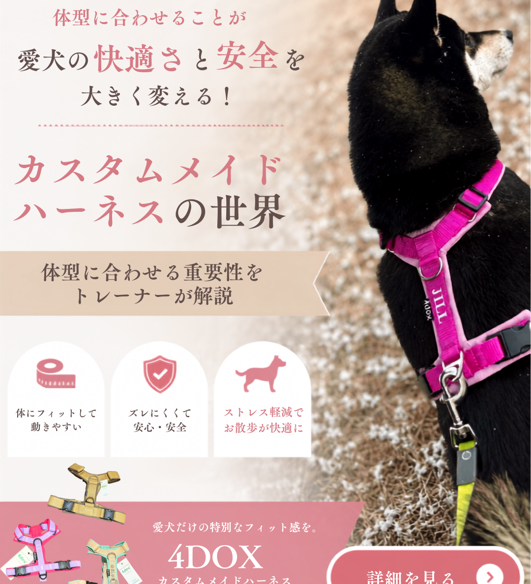 カスタムメイドハーネスの世界：体型に合わせる重要性をトレーナーが解説