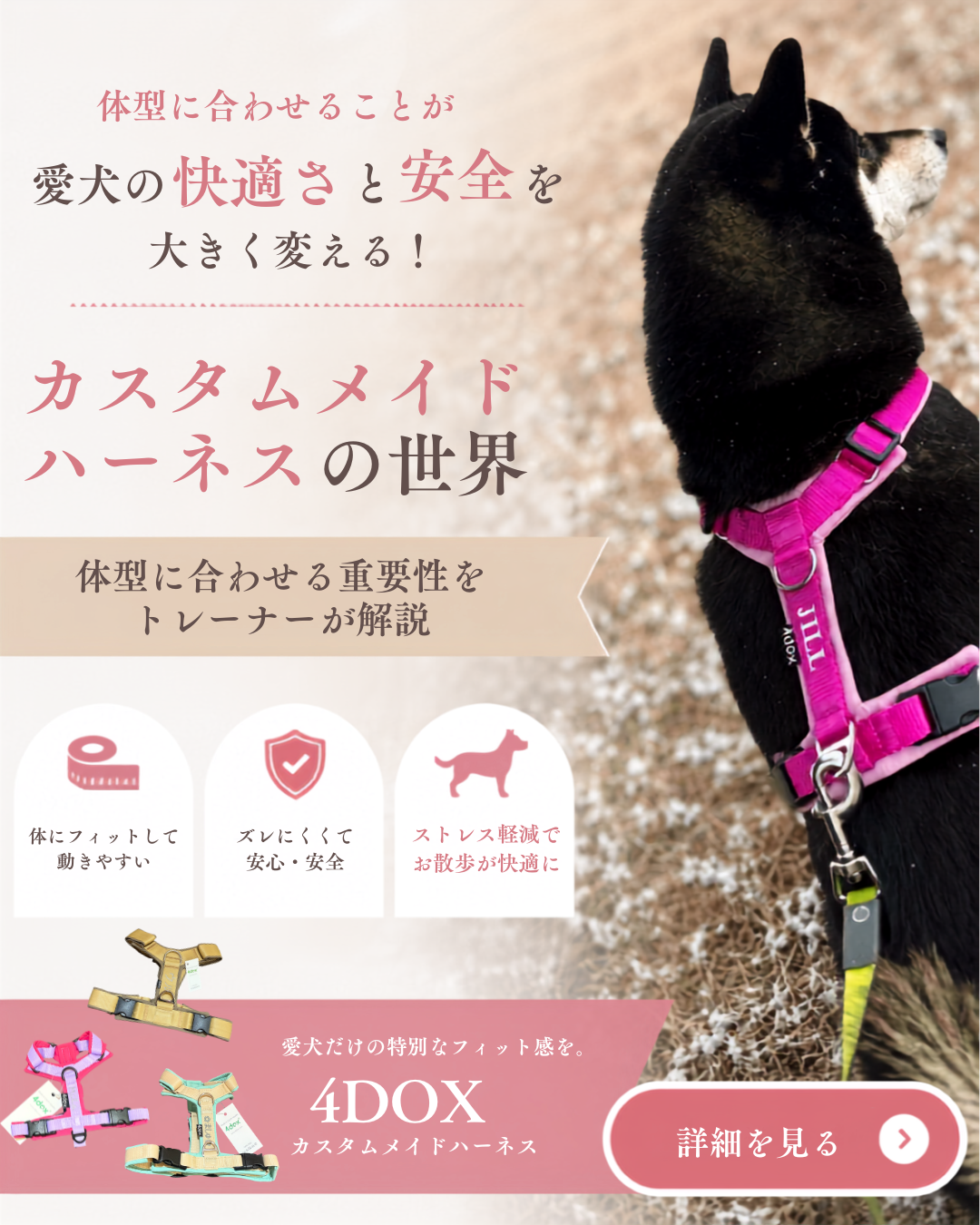 カスタムメイドハーネスの世界：体型に合わせる重要性をトレーナーが解説