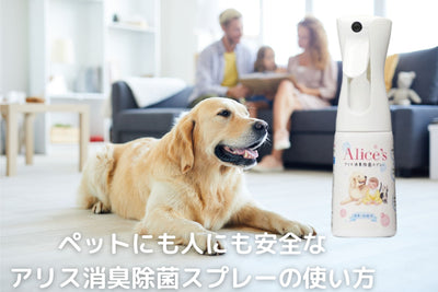 How to use Alice Deodorant Disinfectant Spray, which is safe for pets and people 