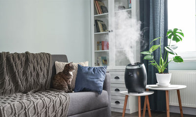 Precautions when using Alice deodorizing disinfectant in a humidifier 