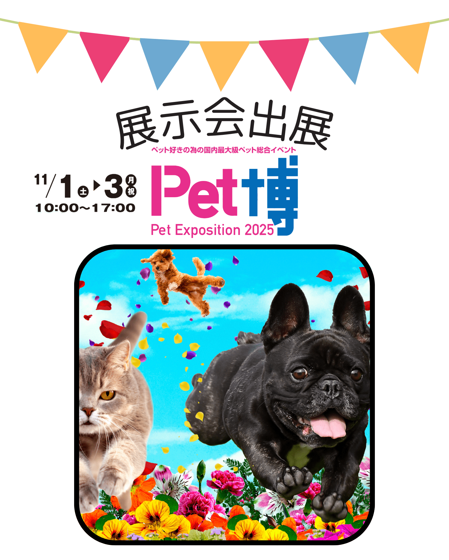【お知らせ】ペット博 大阪 2025 出店のご案内 - Alice's Dog & Cat