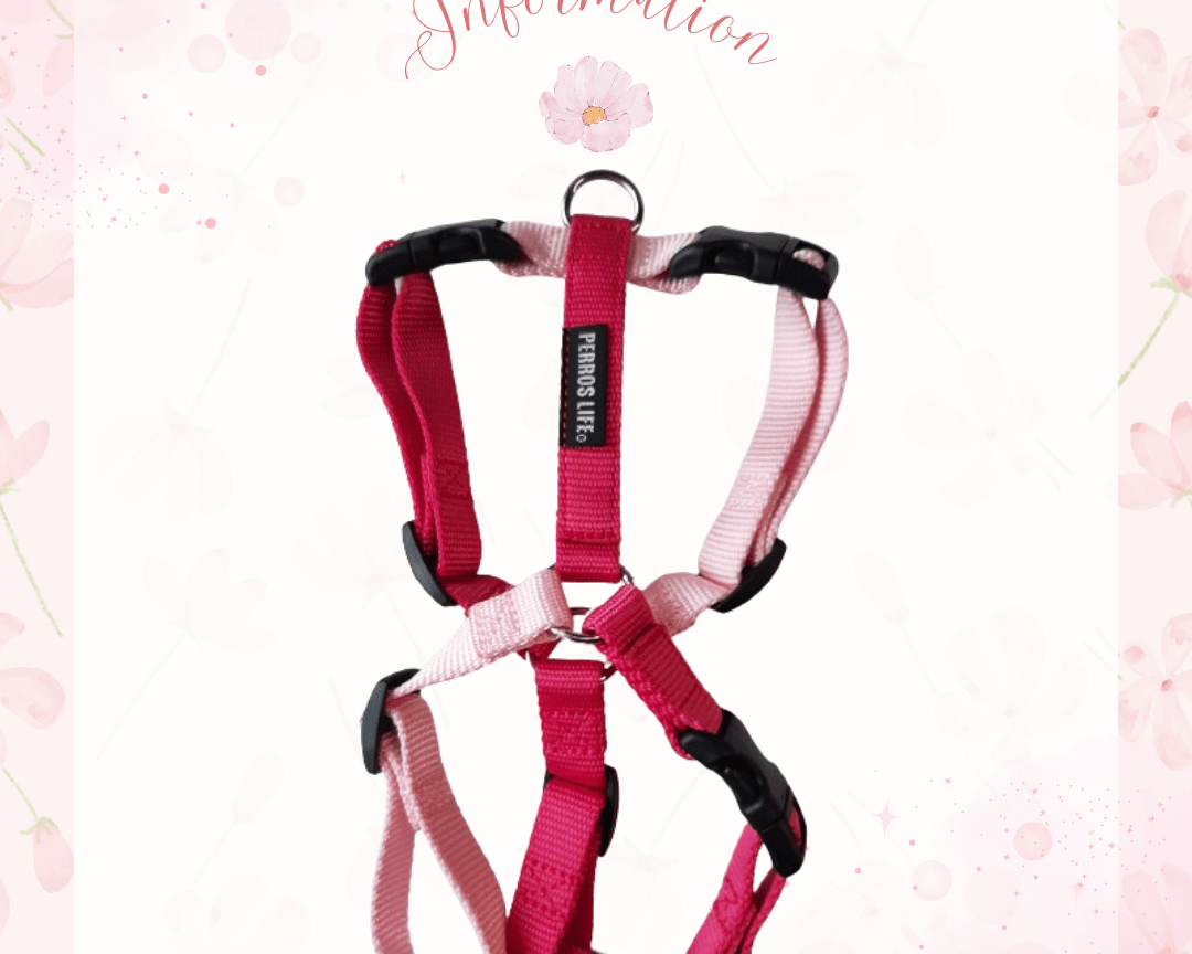 【2026年 数量限定】ペルロスハーネス さくらカラー 再登場のお知らせ - Alice's Dog & Cat