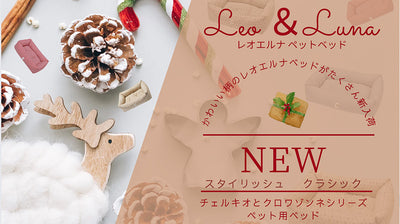 [New product information] Leo Elna dog and cat bed new arrival 