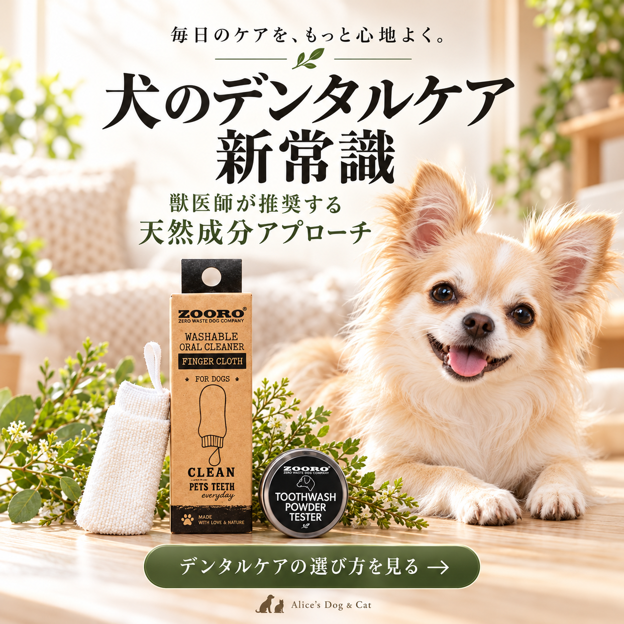 犬のデンタルケア新常識：獣医師が推奨する天然成分アプローチ
