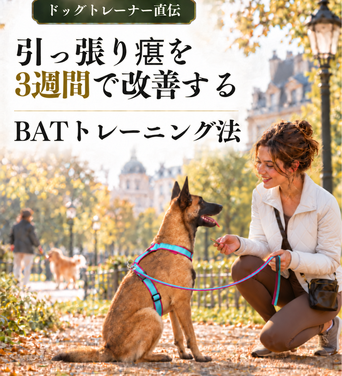 ドッグトレーナー直伝｜引っ張り癖を3週間で改善するBATトレーニング法 - Alice's Dog & Cat