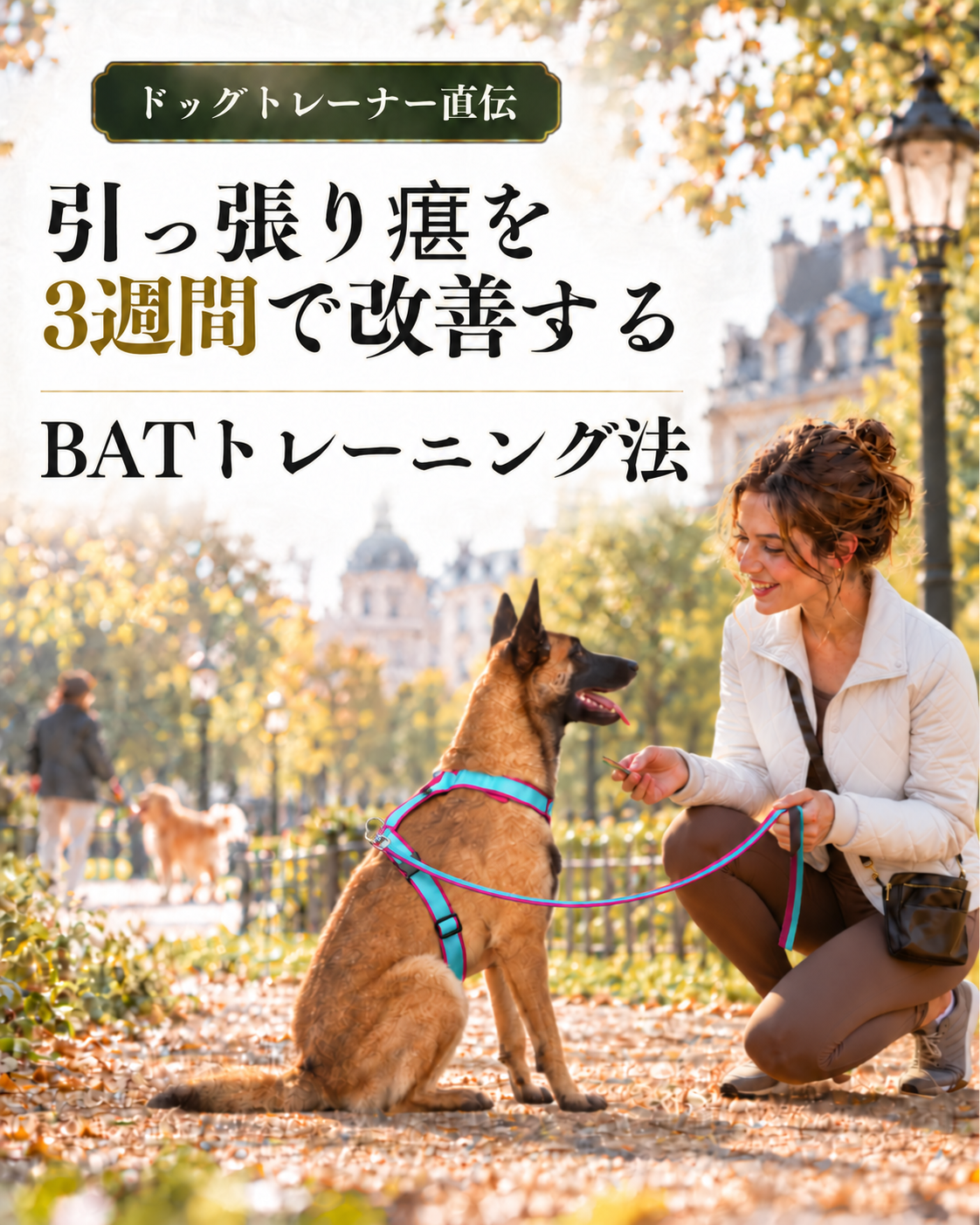 ドッグトレーナー直伝｜引っ張り癖を3週間で改善するBATトレーニング法 - Alice's Dog & Cat