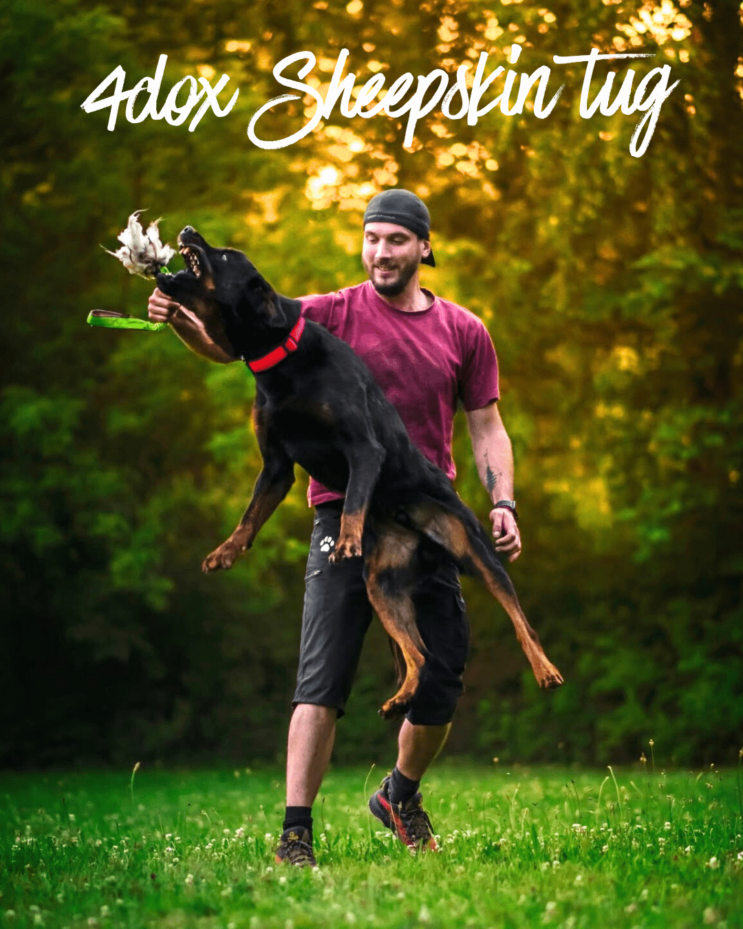 【新商品登場】4dox 羊毛ダッグトイ 衝撃吸収リード付き - Alice's Dog & Cat