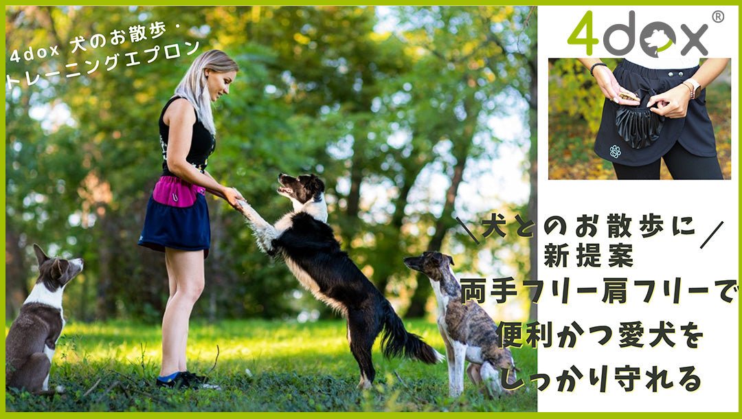 【新商品のご案内】4dox 犬のお散歩・トレーニングエプロン 新登場 - Alice's Dog & Cat