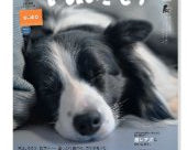 【メディア紹介情報】いぬのきもち　5月号に『犬のお散歩メッセージワッペン』が掲載されました！ - Alice's Dog & Cat