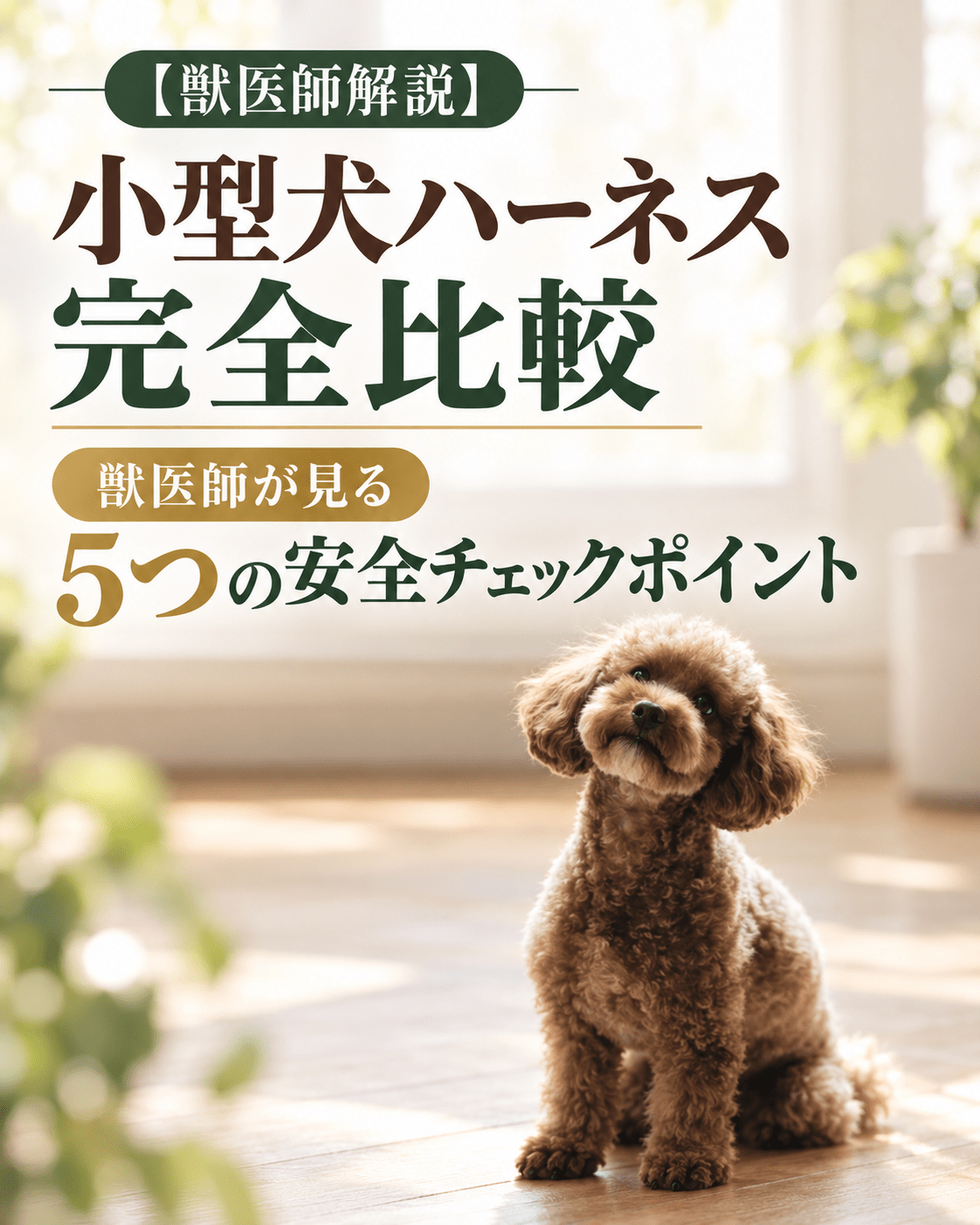 小型犬ハーネス完全比較｜獣医師が見る5つの安全チェックポイント - Alice's Dog & Cat