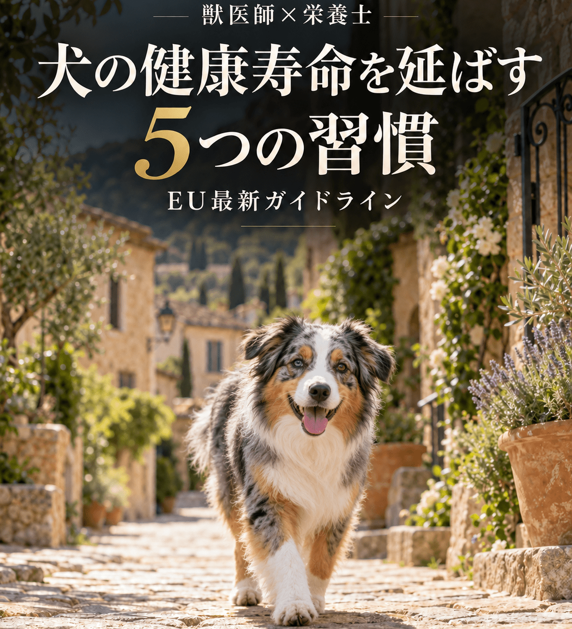 【獣医師×栄養士】犬の健康寿命を延ばす5つの習慣｜EU最新ガイドライン - Alice's Dog & Cat