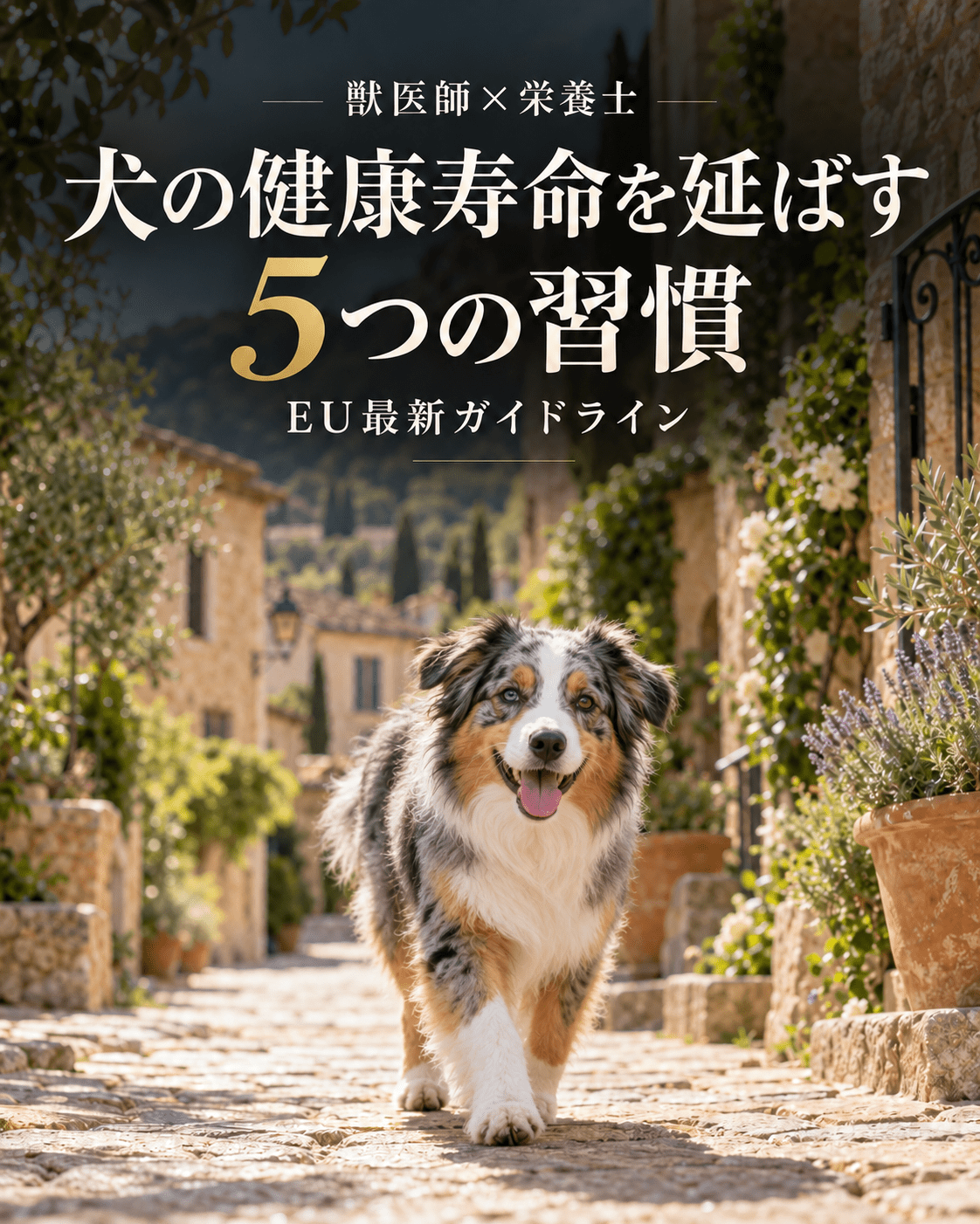 【獣医師×栄養士】犬の健康寿命を延ばす5つの習慣｜EU最新ガイドライン - Alice's Dog & Cat