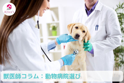 Veterinarian Column: [Choosing a Veterinary Hospital] Which veterinary hospital is suitable for my child?