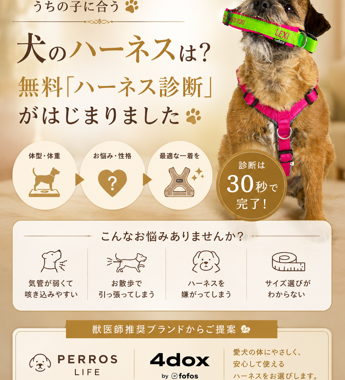 うちの子に合う犬のハーネスは？無料「ハーネス診断」がはじまりました🐾