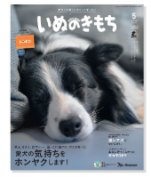 [Media introduction information] “Dog walking message patch” was published in the May issue of Inu no Kimochi!