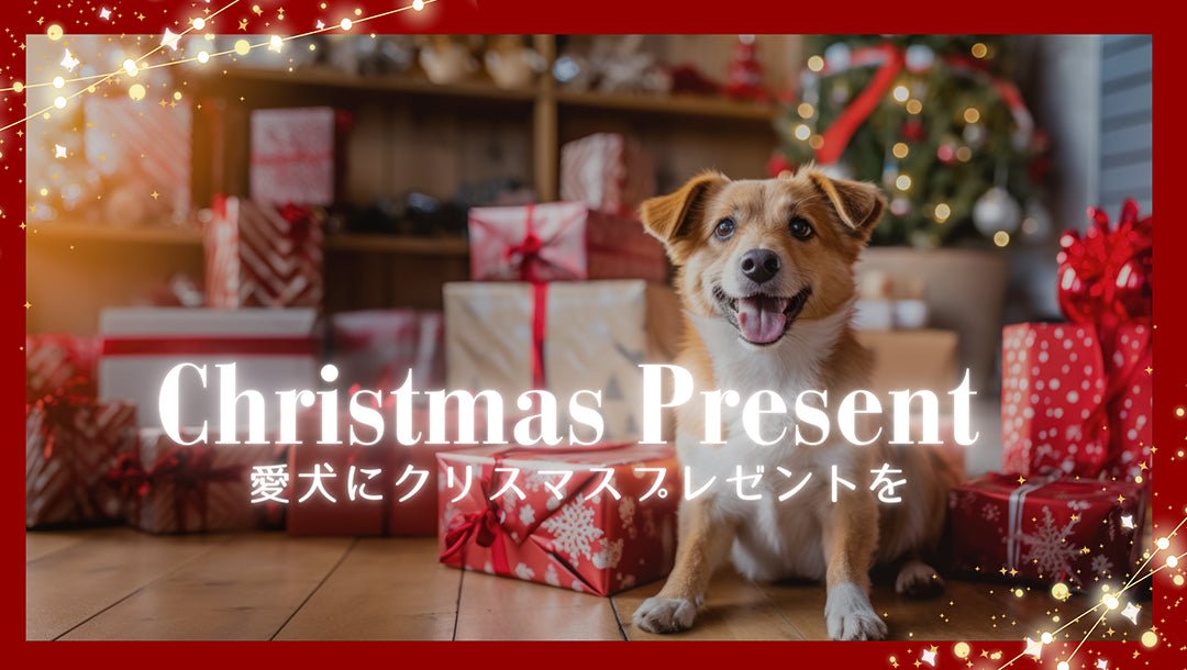 【Christmas Items】愛犬にクリスマスプレゼントを！ - Alice's Dog & Cat