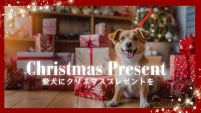 [Christmas Items] Give your dog a Christmas present! 