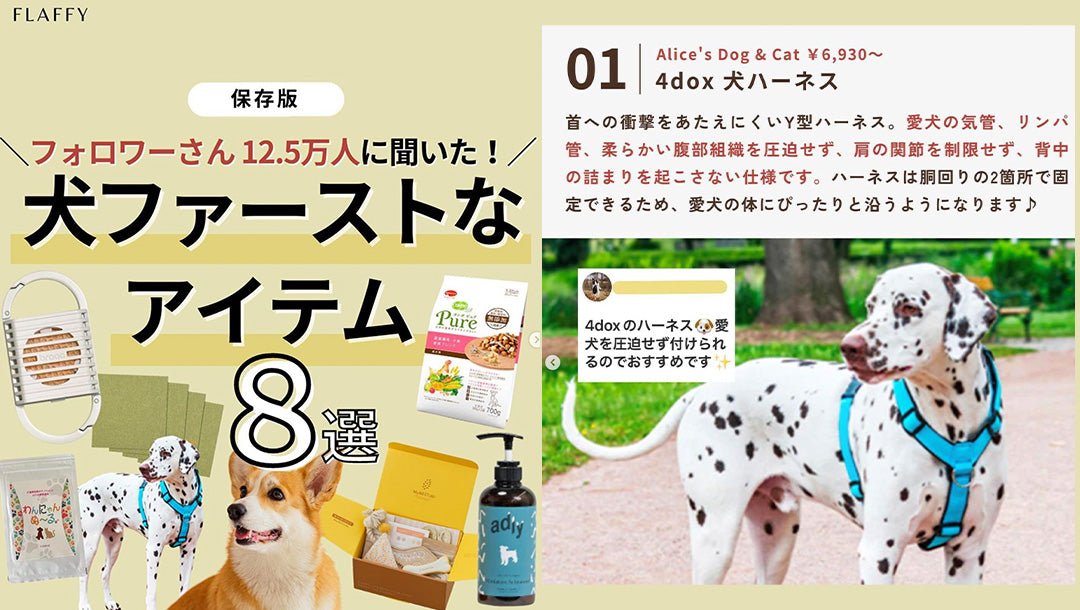 【メディア掲載】犬の情報メディアFLAFFYに4doxハーネスが掲載されました！ - Alice's Dog & Cat