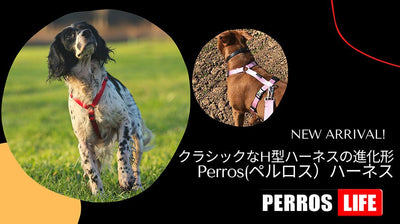 【新ブランドのご案内】H型ハーネスの進化形 PERROS（ペルロス）