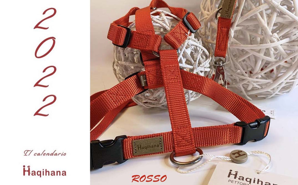 Haqihana ハキハナ 犬用ハーネス メープル・マルチカラー2XS(XXS) 数量限定！ハキハナ社製ハーネス【H】メープル・マルチカラー