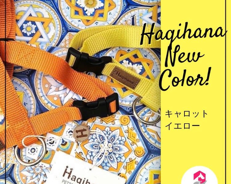 Haqihana　ハキハナ　NEWカラー登場のご案内 - Alice's Dog & Cat