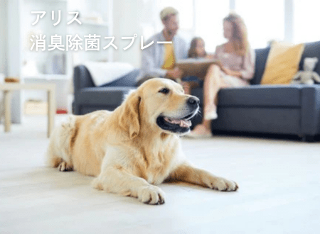 ペットにも人にも安全なアリス消臭除菌スプレーの使い方 - Alice's Dog & Cat