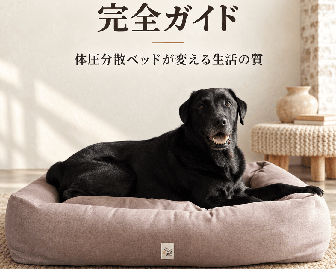シニア犬の関節ケア完全ガイド：体圧分散ベッドが変える生活の質 - Alice's Dog & Cat