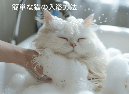 簡単な猫の入浴方法 - Alice's Dog & Cat