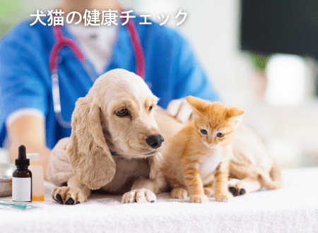 愛犬・愛猫の簡単な健康チェック：便からわかる健康情報と効果的な対策 - Alice's Dog & Cat