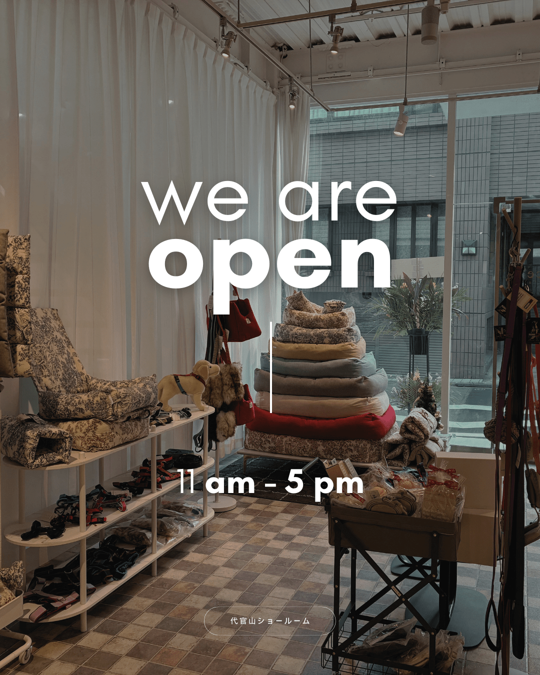 【代官山ショールームよりお知らせ】営業日や予約について - Alice's Dog & Cat