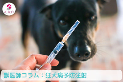 Veterinarian Column: Have you forgotten? [Rabies vaccination] 