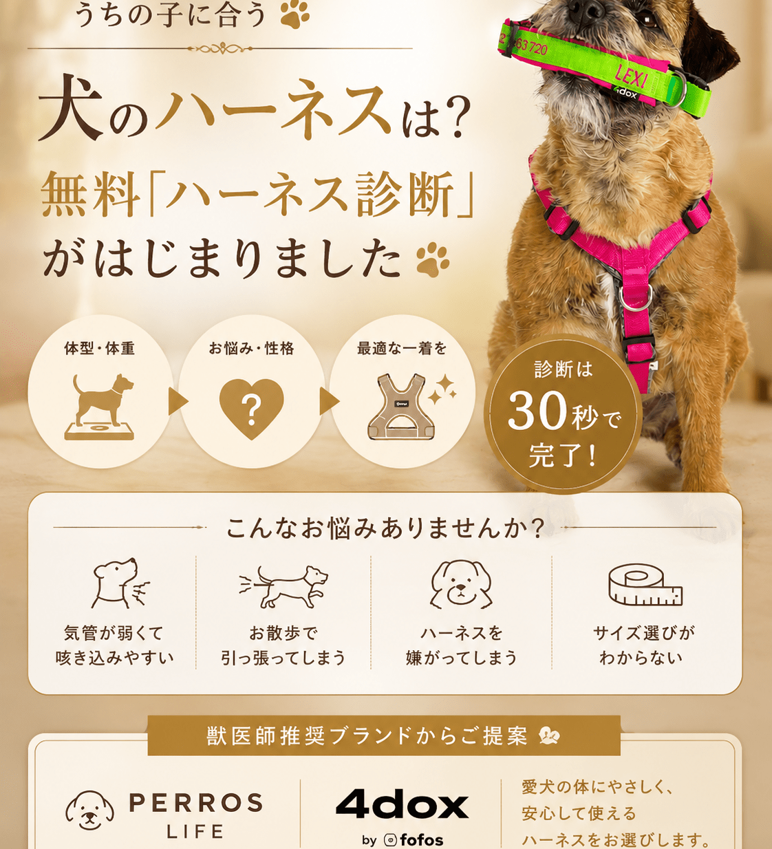うちの子に合う犬のハーネスは？無料「ハーネス診断」がはじまりました🐾 - Alice's Dog & Cat