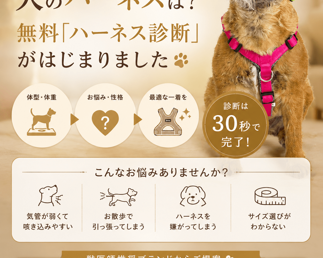 news – Alice's Dog & Cat