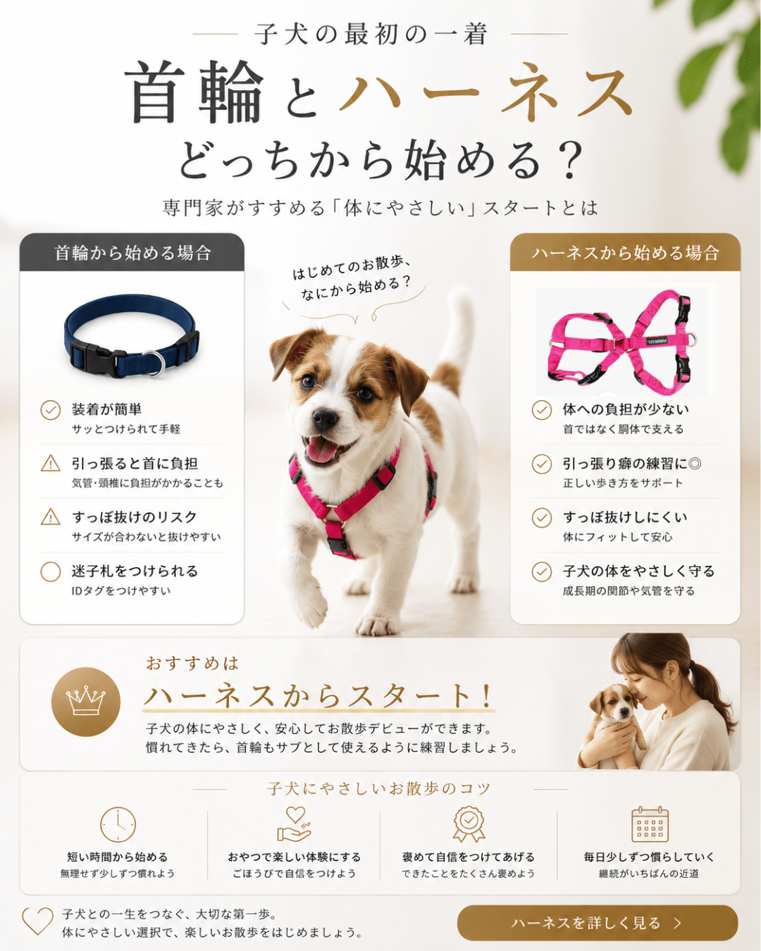 子犬の最初の一着、首輪とハーネスどっちから始める？ - Alice's Dog & Cat