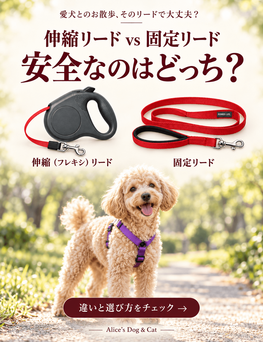伸縮（フレキシ）リードと固定リード、安全なのはどっち？ - Alice's Dog & Cat