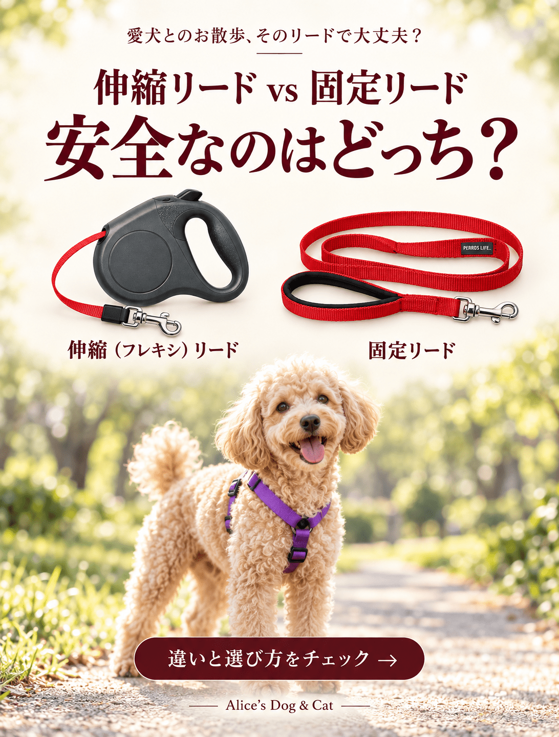 伸縮（フレキシ）リードと固定リード、安全なのはどっち？ - Alice's Dog & Cat