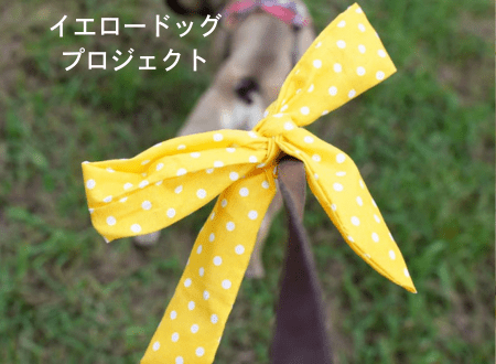 イエロードッグプロジェクトについて - Alice's Dog & Cat