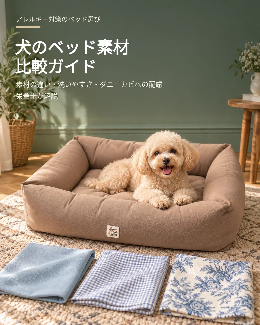 犬のベッド素材比較ガイド｜アレルギー対策の観点から栄養士が解説 - Alice's Dog & Cat