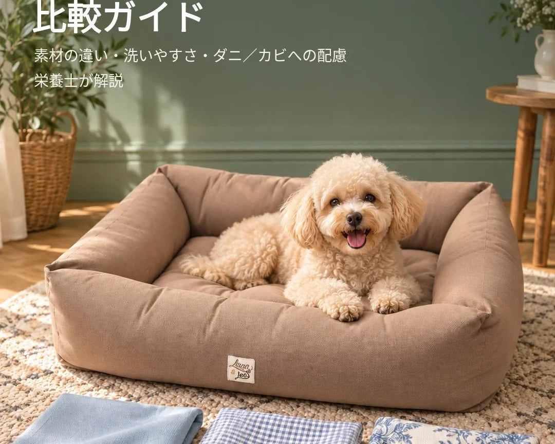 犬のベッド素材比較ガイド｜アレルギー対策の観点から栄養士が解説 - Alice's Dog & Cat