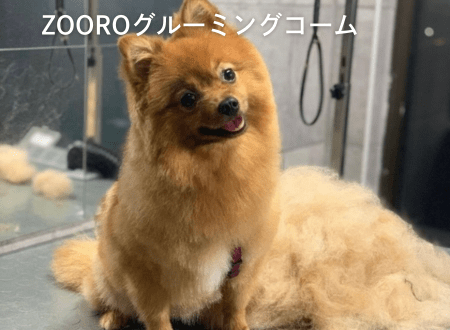 ペットの健康と美しさを守る！ゾログルーミングコームの魅力と使い方 - Alice's Dog & Cat