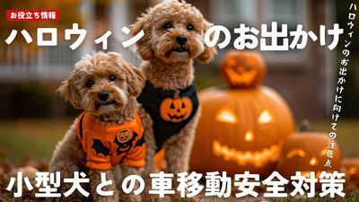 小型犬との車移動 | 安全対策とハロウィンのお出かけガイド