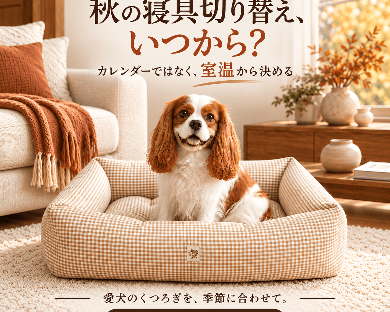 秋冬の寝具切り替え、いつから？｜カレンダーではなく、室温から決める - Alice's Dog & Cat